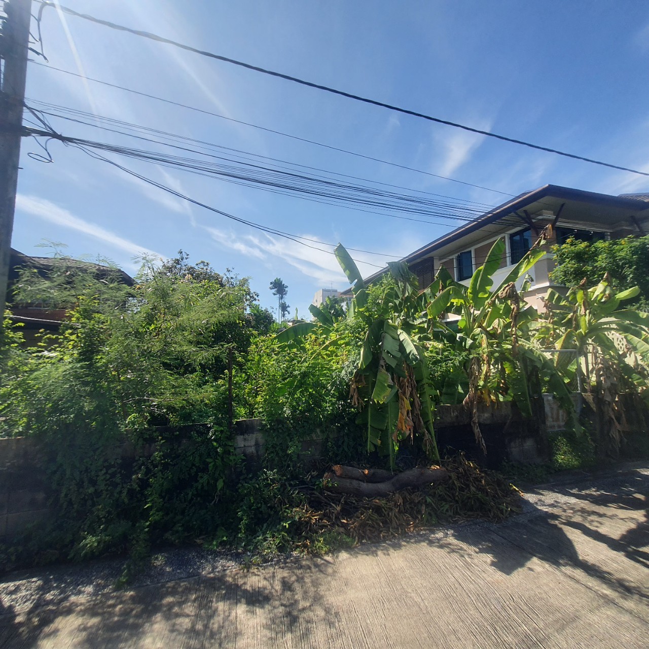ขายบ้านพร้อมที่ดิน ใจกลางเมืองปากเกร็ด